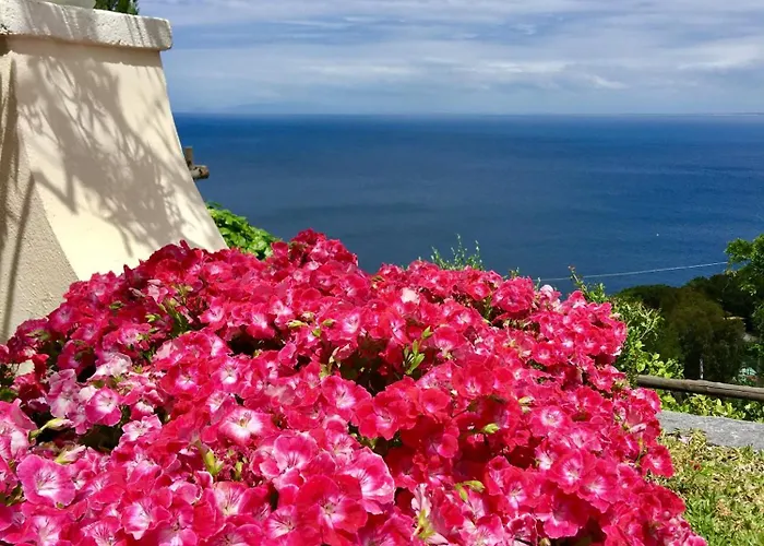 Agapanto Luxury Casamicciola Terme