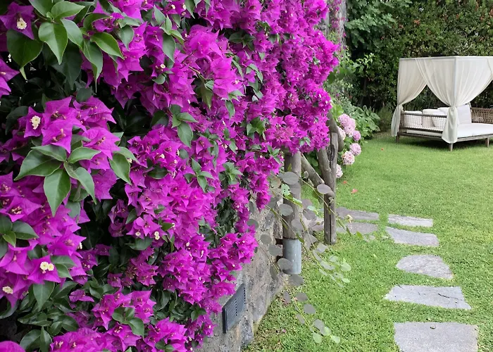 Agapanto Luxury Panzió 4*