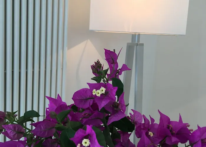 Panzió Agapanto Luxury Casamicciola Terme