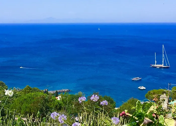 Agapanto Luxury Panzió 4*