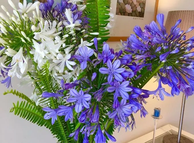 Panzió Agapanto Luxury