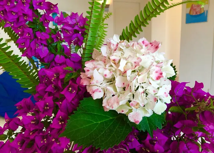 Panzió Agapanto Luxury 4*