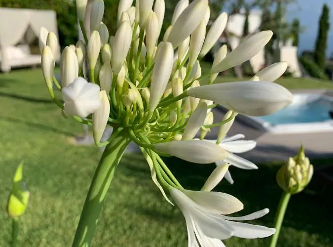 Panzió Agapanto Luxury