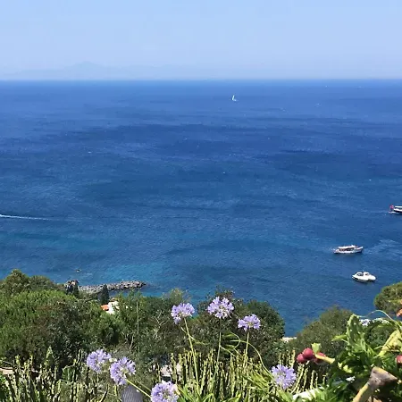 Agapanto Luxury 住宿加早餐酒店 卡萨米乔拉泰尔梅