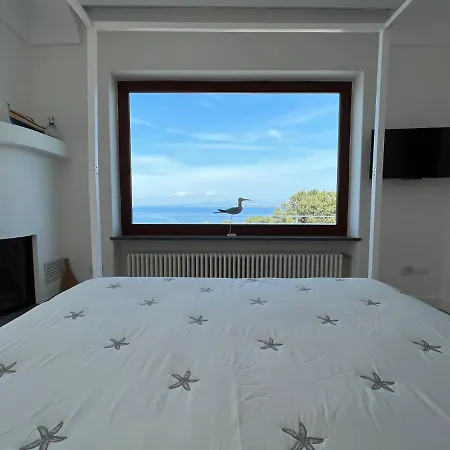 Agapanto Luxury