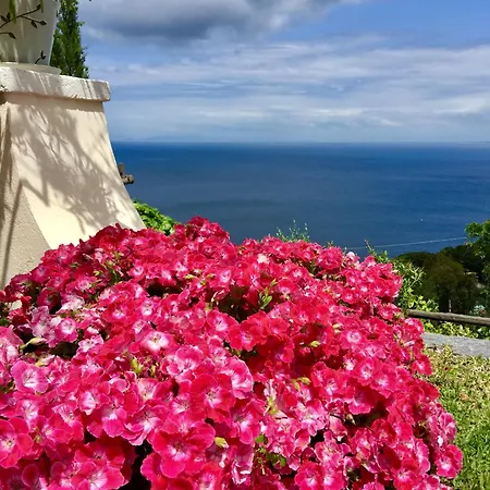 Agapanto Luxury 卡萨米乔拉泰尔梅