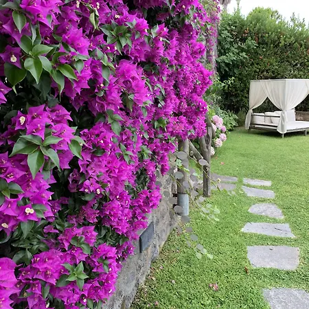 Agapanto Luxury 住宿加早餐酒店 4*