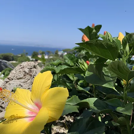 住宿加早餐酒店 Agapanto Luxury 卡萨米乔拉泰尔梅