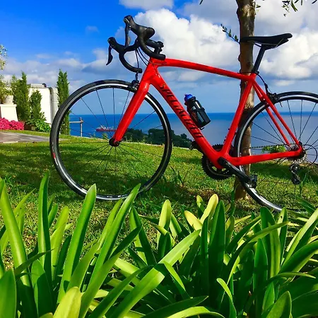 Agapanto Luxury 住宿加早餐酒店 卡萨米乔拉泰尔梅