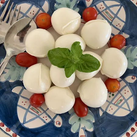 Agapanto Luxury 卡萨米乔拉泰尔梅