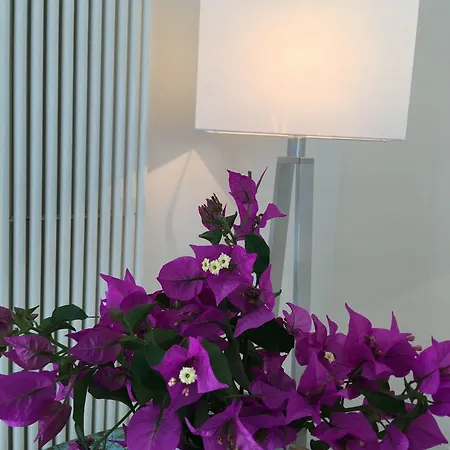 住宿加早餐酒店 Agapanto Luxury 卡萨米乔拉泰尔梅