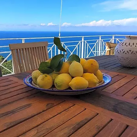 Agapanto Luxury