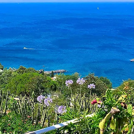 Agapanto Luxury 4* Casamicciola Terme