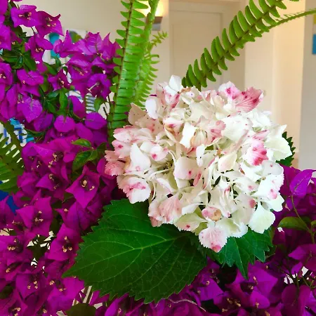 Oda ve Kahvaltı Agapanto Luxury 4*