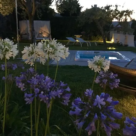 Oda ve Kahvaltı Agapanto Luxury