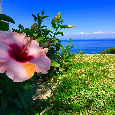 Oda ve Kahvaltı Agapanto Luxury Casamicciola Terme