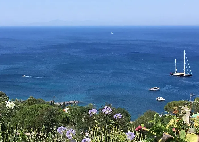 Agapanto Luxury Bed & Breakfast Casamicciola Terme