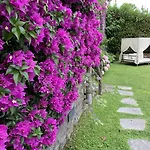 Agapanto Luxury Bed and breakfast 4*