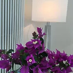Bed and breakfast Agapanto Luxury Casamicciola Terme