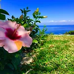 Bed and breakfast Agapanto Luxury Casamicciola Terme