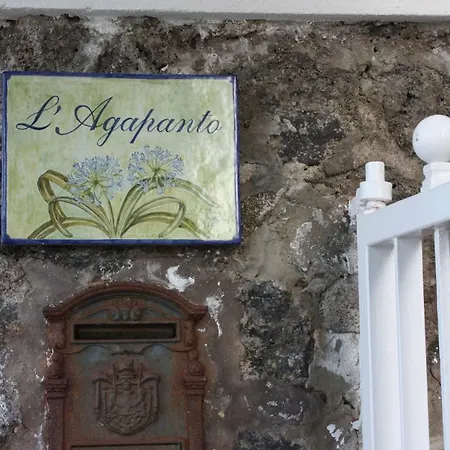 Agapanto Luxury